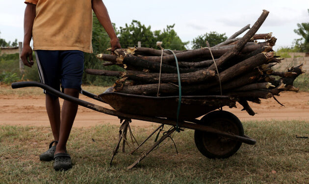 A man transports logs for firewood in a wheelbarrow outside Maracaibo, Venezuela August 1, 2019. Picture taken August 1, 2019. REUTERS/Manaure Quintero