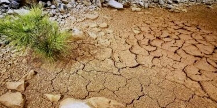 Sequía. México. Foto de archivo.