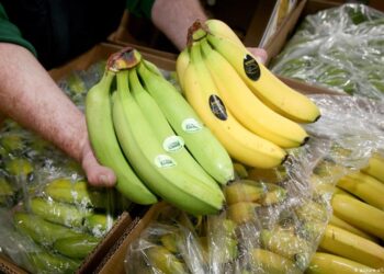 Supermercado Alemania. Bananas. Foto agencias.