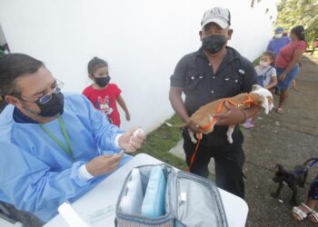 Vacunación mascotas Panamá. Foto Hola News.