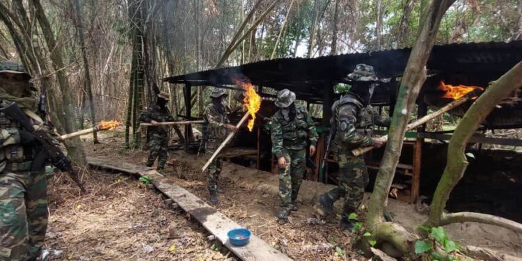 Campamento terrorista en Apure. Foto @dhernandezlarez