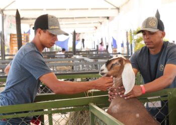 ExpoFeria Caprina y Ovina Miranda 2022. Foto @PresidencialVen