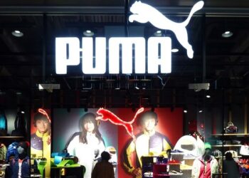 Puma. Foto de archivo.