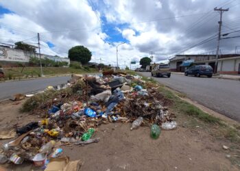 Calles repletas de basura Ciudad-Guayana. Foto Centro de Comunicación Nacional.