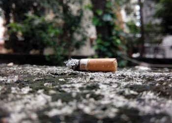 Cigarro y el medio ambiente. Foto de archivo.