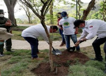 Misión Árbol. Foto VTV.