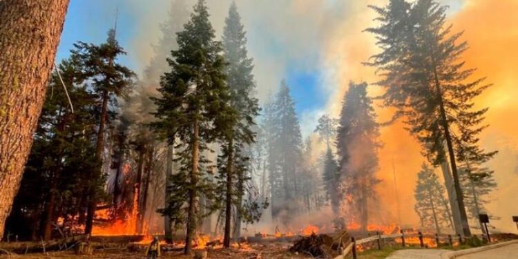 Parque Nacional de Yosemite EEUU. Foto agencias.