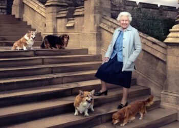 Reina Isabel II. Mascotas. Foto de archivo.