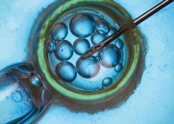 Embriones congelados. Foto referencial
