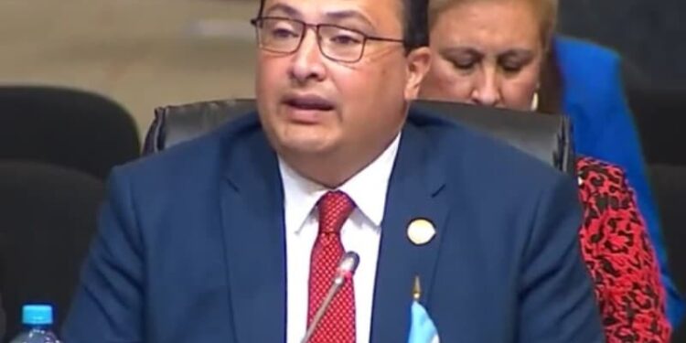 Guatemala. Asamblea ONU. Foto captura de video.