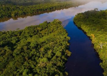 Amazonía. Foto @LeoDiCaprio