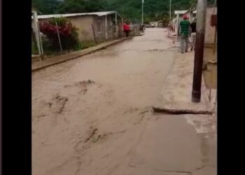 El río Las Cocuizas, Lara. Foto captura de video.