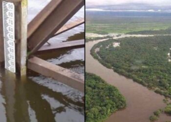 Nueva crecida del río Orinoco. Foto collage.