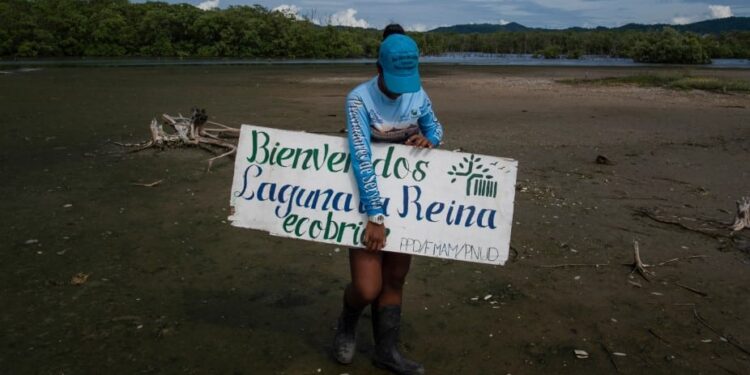 Un miembro de la fundación ecológica Ecobrion sostiene un cartel que dice “Bienvenidos a la laguna La Reina” en el humedal costero del sector Valle Seco en Higuerote, estado Miranda, Venezuela, el 4 de octubre de 2022. – De niña, Ramona Rodríguez pescaba camarones con su padre en La Reina, una laguna cerca de Caracas rodeada de manglares con raíces que emergen sobre el agua, formando bosques vitales para regular la temperatura y canalizar el agua de lluvia. Pero este humedal ubicado entre las localidades de Higuerote y Carenero, a unas dos horas por tierra de la capital venezolana, ha sido objeto de deforestación y contaminación, lo que lo pone en peligro. (Foto de Federico PARRA / AFP)