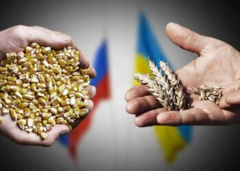 Productos agrícolas rusos. Foto referencial.