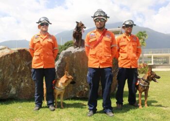 Unidad canina K-SAR se integra a Protección Civil de Aragua. Foto de archivo.