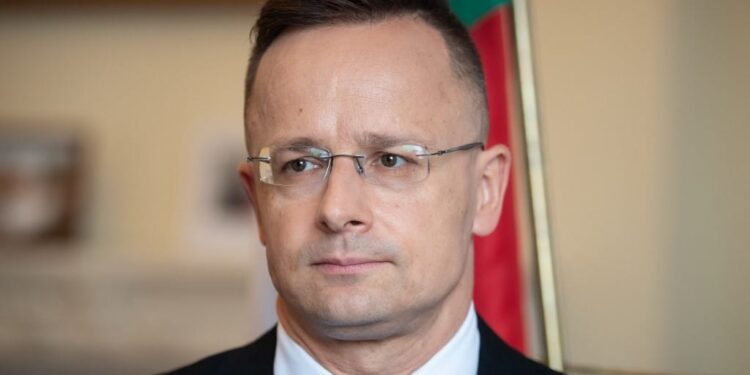 Hungary's Foreign Minister Peter Szijjarto answers journalists' questions during an interview at the Hungarian Embassy in Paris on May 18, 2021. (Photo by BERTRAND GUAY / AFP)