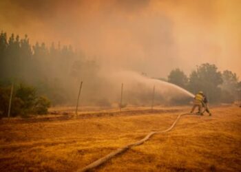 Chile, incendio. Foto agencias.