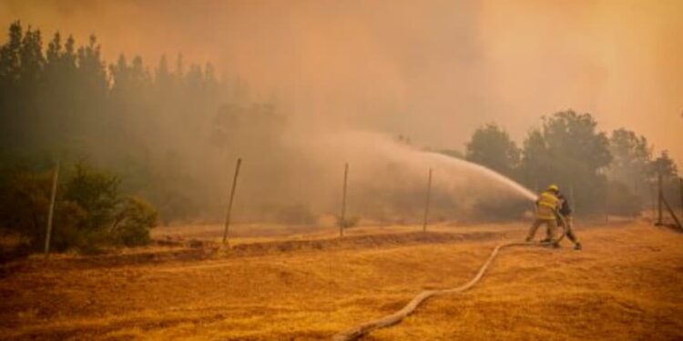 Chile, incendio. Foto agencias.