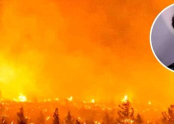 Colombia ayuda a Chile incendio. Foto collage.