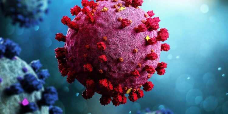 Coronavirus. Foto referencial.