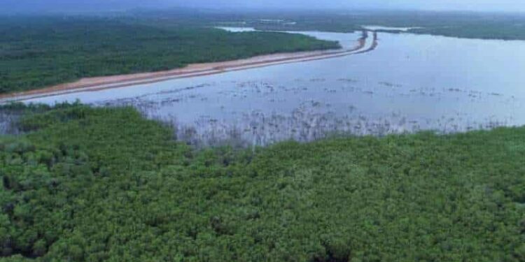 Humedales en Venezuela. Foto de archivo.