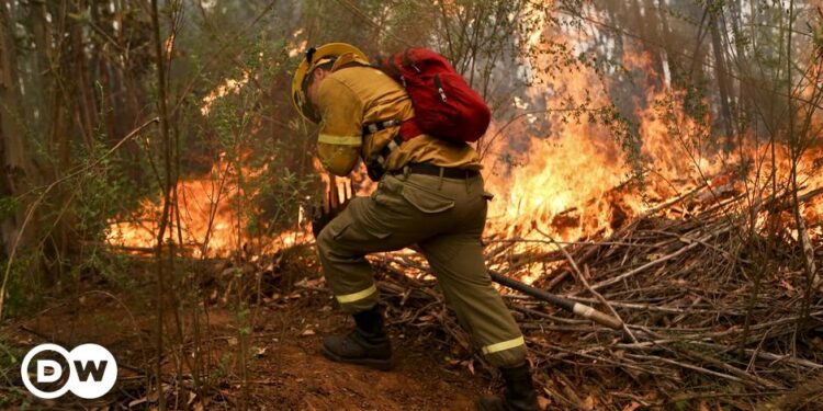 Incendios Chile. Foto DW.