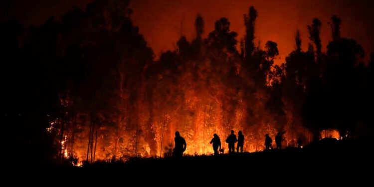 Incendios Chile. Foto agencias.