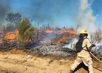 Incendios en Chile. Foto agencias.