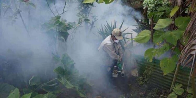 Perú, dengue casos. Foto agencias.