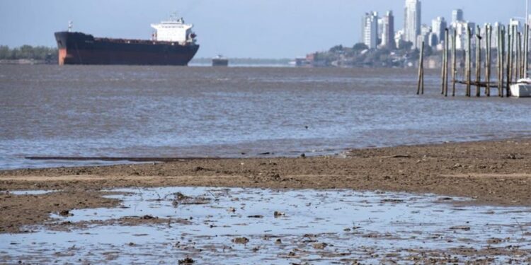 Crisis mundial del agua. Foto agencias.