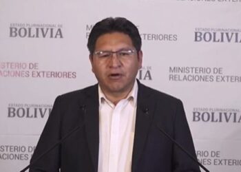 El viceministro de Relaciones Exteriores, Freddy Mamani Machaca. Foto captura de video.