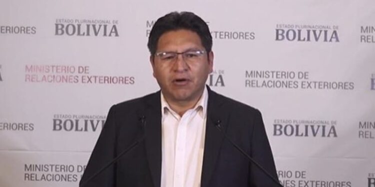 El viceministro de Relaciones Exteriores, Freddy Mamani Machaca. Foto captura de video.