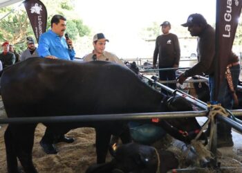 Nicolás Maduro. Foto @PresidencialVen