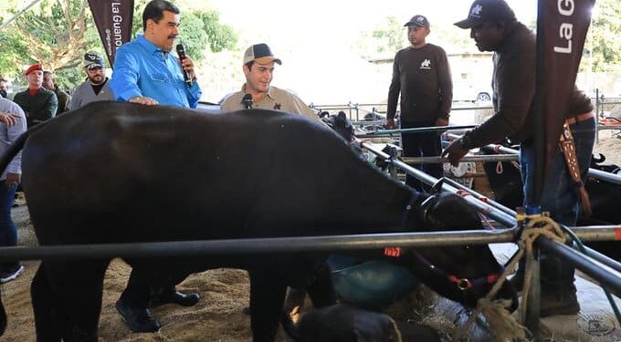 Nicolás Maduro. Foto @PresidencialVen