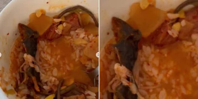 Pareja de Nueva York denuncia haber hallado una rata en su sopa