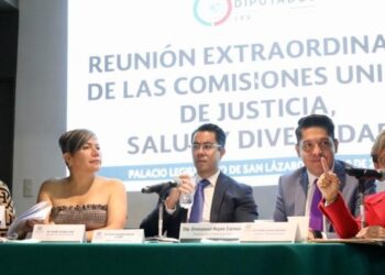 Comisiones Unidas de Justicia, de Salud y de Diversidad de la Cámara de Diputados de México.