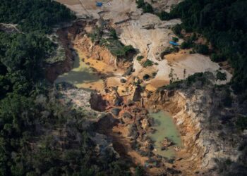 La tierra yanomami en Brasil. Foto Survival International.