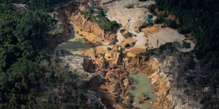 La tierra yanomami en Brasil. Foto Survival International.