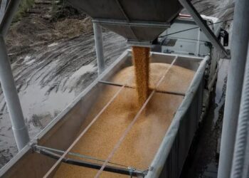 Ucrania, Rusia y Turquía discutirán este viernes la extensión del acuerdo para la exportación de cereales. REUTERS