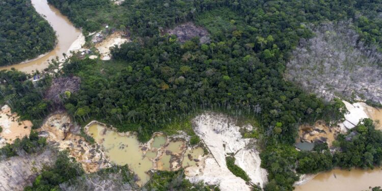 La tierra indígena Yanomami. Foto de archivo.