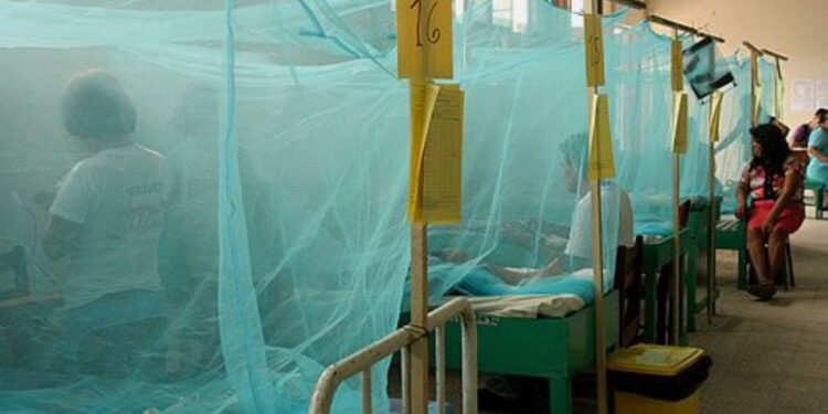 Reporte de casos de dengue y malaria en Venezuela. Foto de archivos.