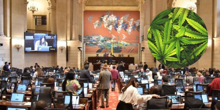Senado colombiano. Cannabis. Foto de archivo.