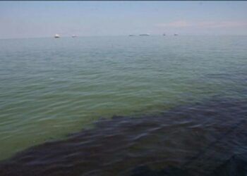 Derrames petroleros en el Lago de Maracaibo, estado Zulia. Foto Archivo.