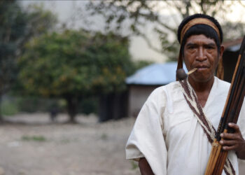 El pueblo yukpa solo tiene dos fuentes de ingreso: la agricultura y la artesanía. La primera está limitada por falta de vías de acceso y la segunda por la falta de mercado para la venta.