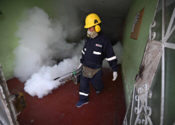 El Gobierno de Perú anuncia un plan para acelerar la disminución de casos de dengue. Foto EFE.
