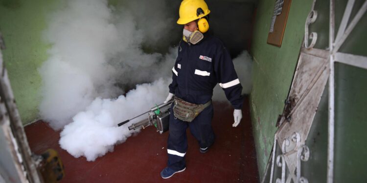 El Gobierno de Perú anuncia un plan para acelerar la disminución de casos de dengue. Foto EFE.
