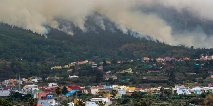 Vista del incendio forestal que afecta a la isla de Tenerife desde el municipio de La Victoria. EFE/Alberto Valdés