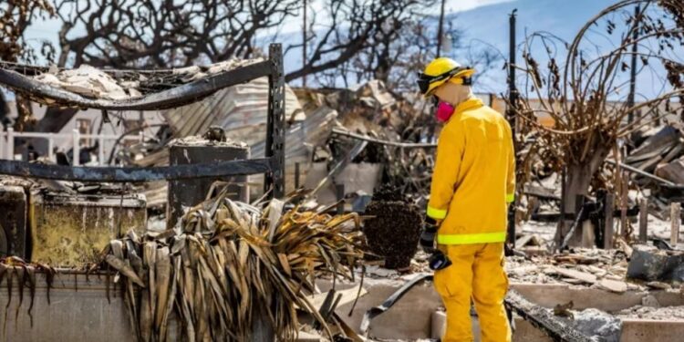 Trabajos de búsqueda entre los escombros en Lahaina, Hawaii