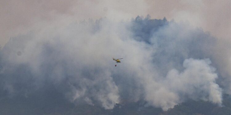 GRAFCAN5865. LA VICTORIA (TENERIFE), 19/08/2023.- Un helicóptero descarga agua sobre el incendio forestal que afecta a la isla de Tenerife. EFE/Alberto Valdés